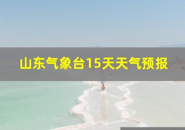 山东气象台15天天气预报