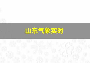 山东气象实时