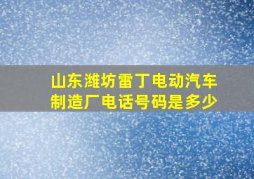 山东潍坊雷丁电动汽车制造厂电话号码是多少