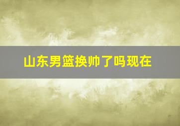 山东男篮换帅了吗现在