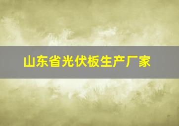 山东省光伏板生产厂家