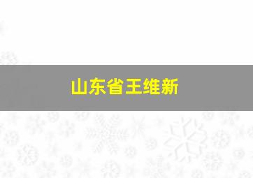 山东省王维新