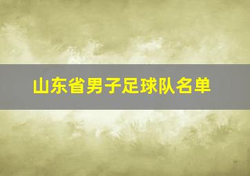 山东省男子足球队名单