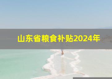 山东省粮食补贴2024年