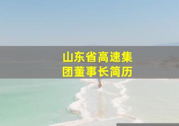 山东省高速集团董事长简历