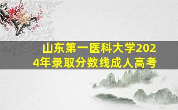 山东第一医科大学2024年录取分数线成人高考