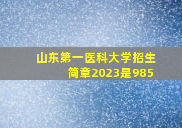 山东第一医科大学招生简章2023是985