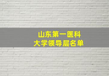 山东第一医科大学领导层名单