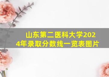 山东第二医科大学2024年录取分数线一览表图片