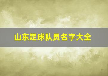 山东足球队员名字大全