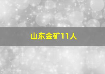 山东金矿11人