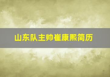 山东队主帅崔康熙简历