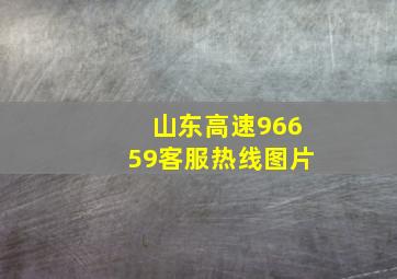 山东高速96659客服热线图片