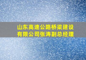 山东高速公路桥梁建设有限公司张涛副总经理