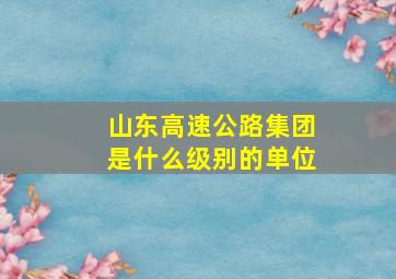 山东高速公路集团是什么级别的单位