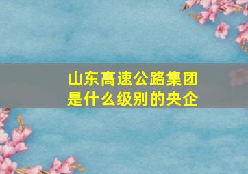 山东高速公路集团是什么级别的央企