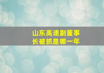 山东高速副董事长被抓是哪一年