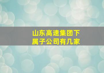 山东高速集团下属子公司有几家