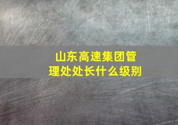 山东高速集团管理处处长什么级别