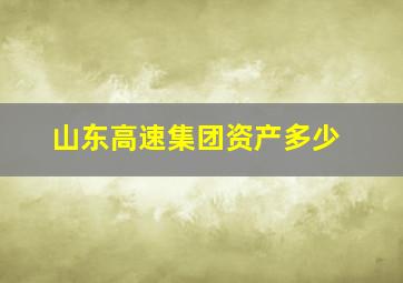 山东高速集团资产多少