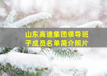 山东高速集团领导班子成员名单简介照片