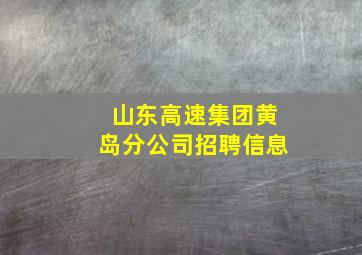 山东高速集团黄岛分公司招聘信息