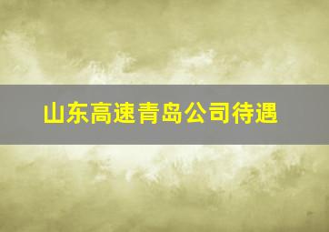 山东高速青岛公司待遇