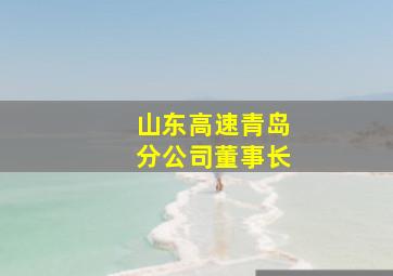 山东高速青岛分公司董事长