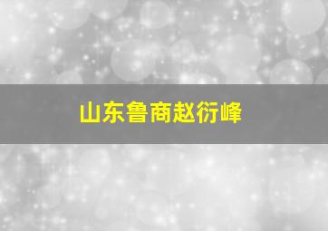 山东鲁商赵衍峰