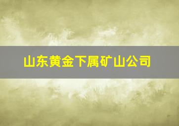 山东黄金下属矿山公司