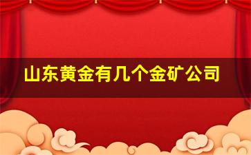 山东黄金有几个金矿公司