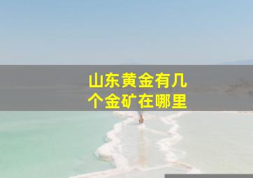 山东黄金有几个金矿在哪里