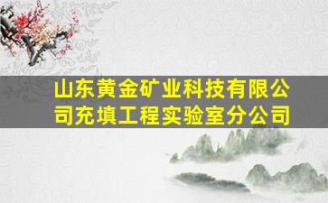 山东黄金矿业科技有限公司充填工程实验室分公司