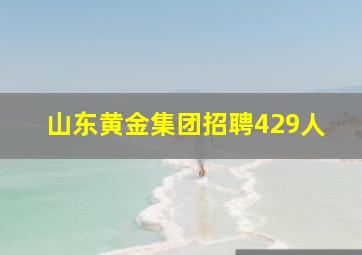 山东黄金集团招聘429人