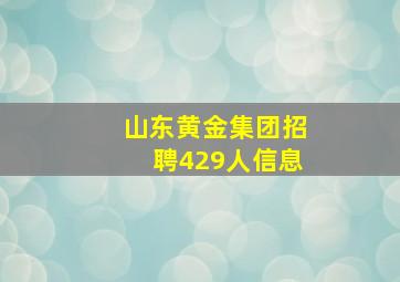 山东黄金集团招聘429人信息