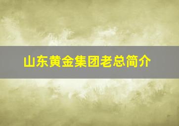 山东黄金集团老总简介