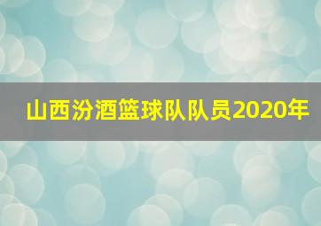 山西汾酒篮球队队员2020年