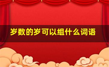 岁数的岁可以组什么词语