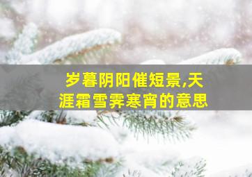 岁暮阴阳催短景,天涯霜雪霁寒宵的意思