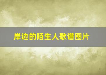 岸边的陌生人歌谱图片