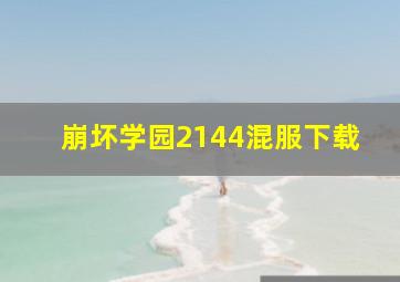 崩坏学园2144混服下载