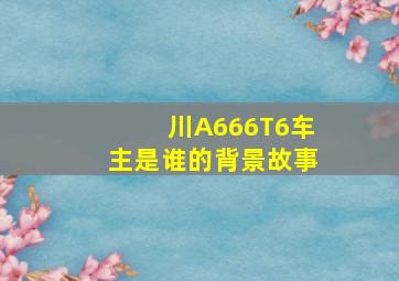 川A666T6车主是谁的背景故事