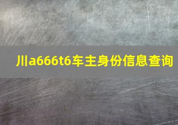 川a666t6车主身份信息查询