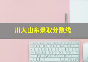 川大山东录取分数线