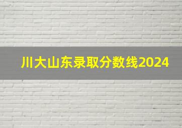 川大山东录取分数线2024