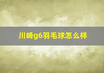 川崎g6羽毛球怎么样