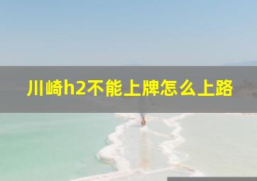 川崎h2不能上牌怎么上路