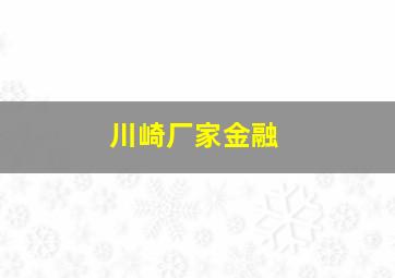 川崎厂家金融