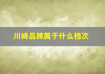 川崎品牌属于什么档次