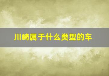 川崎属于什么类型的车